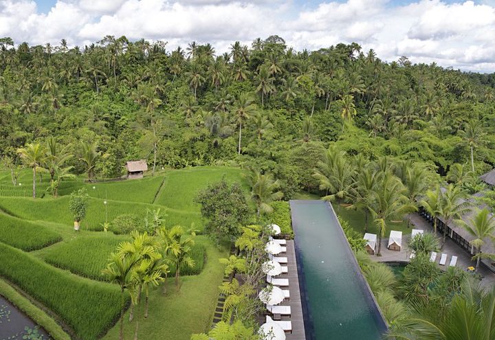 계단식 논 옆으로 뻗은 수영장